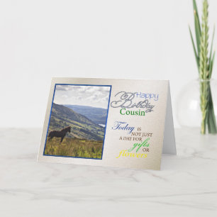 Um cartão de aniversário de cavalo para primo.