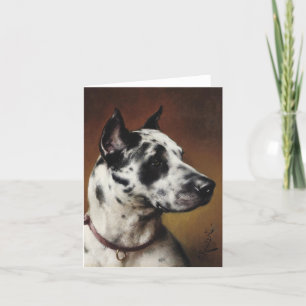 Um Cartão De Nota De Dane Excelente