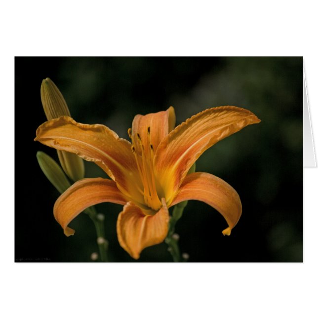 Um Cartão Delicioso De Jardim (Frente horizontal)