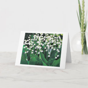 UM CARTÃO ESPECIAL PARA UMA MULHER ESPECIAL