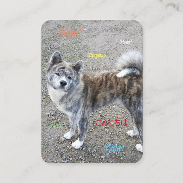 Um cartão postal em boas condições (Frente)