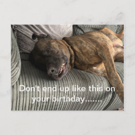 Um cartão postal engraçado do Bull Mastiff