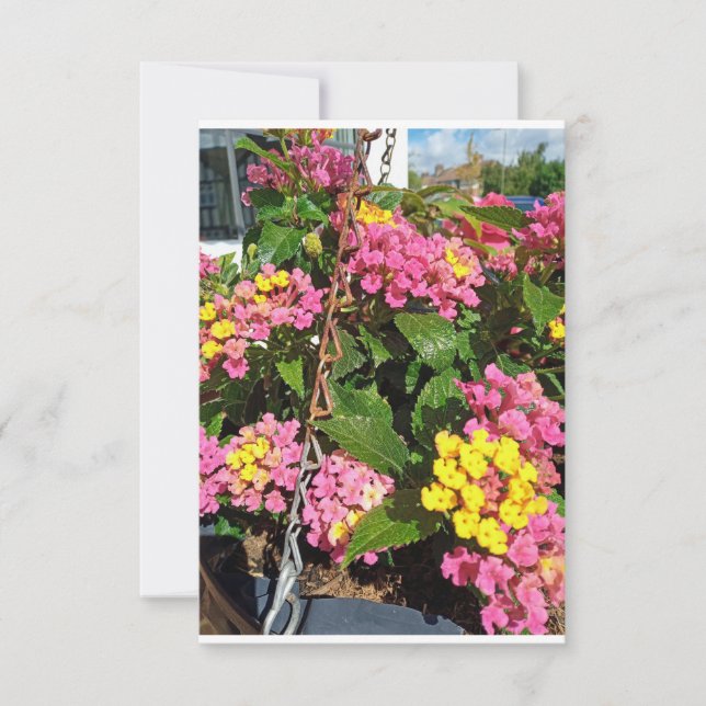 Um cartões de agradecimentos de flores (Frente)