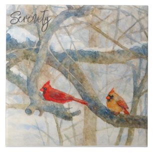 Um Casal de Cardinals Empoleirado na Neve