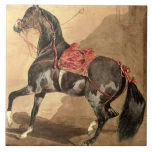 Um cavalo árabe (estabelecido w/c no papel)