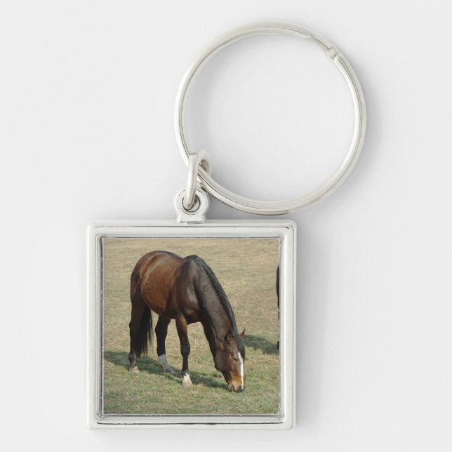 Um cavalo - chaveiro (Frente)