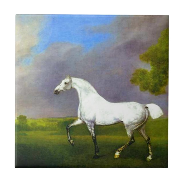 Um cavalo cinzento por George Stubbs (Frente)