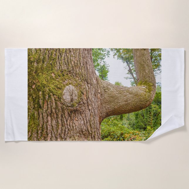 um cedro do Himalaia em toalhas de praia (Frente)