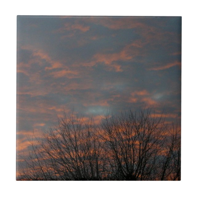 Um Céu Noturno Para Bebê (Frente)