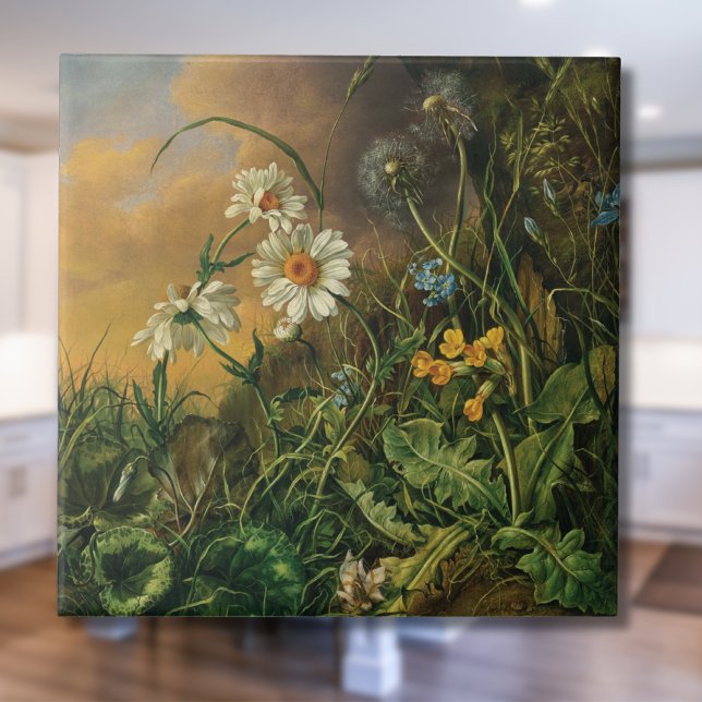 Um chão de floresta com margaridas, primroses, ... (Criador carregado)