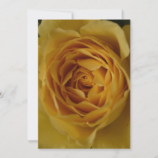 Um Convite de aniversário cor-de-rosa amarela 16 (Verso)