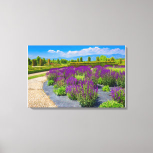 um corredor de canvas iluminadas por sol com flore