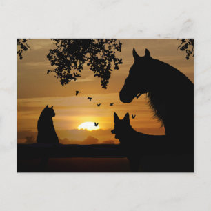 Um Delicioso Cartão Postal de Amante de Animais