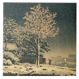 Um Dia de Inverno no Rio Sumida no Japão