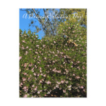 Um Dia de os namorados Blooming! Cartão Postal