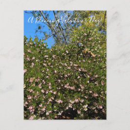 Um Dia de os namorados Blooming! Cartão Postal