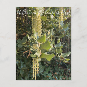 Um Dia de os namorados Blooming! Cartão Postal