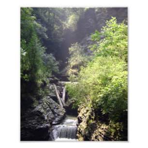 UM DIA DE VERÃO NA GLEN. FOTO N.O 2 2011