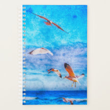 Um Dia No Planejador Da Praia