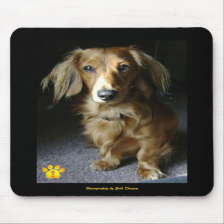 Um distinto Dachshund Mousepad
