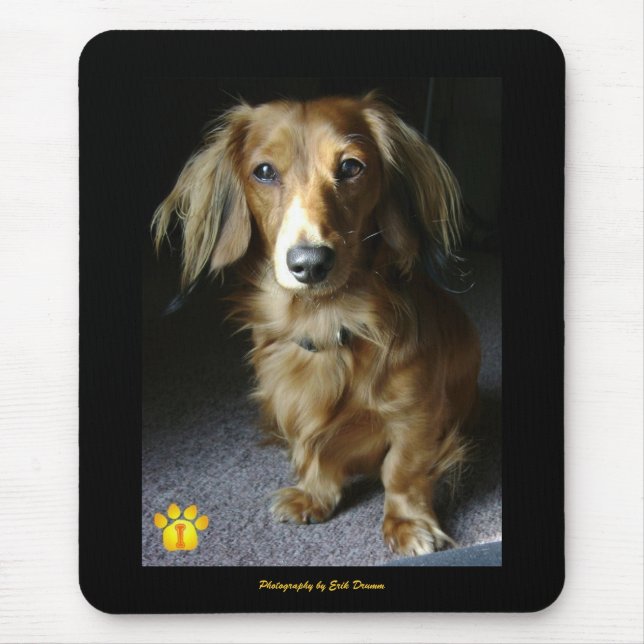 Um distinto Dachshund Mousepad (Frente)
