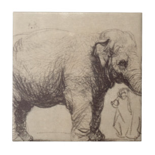 Um elefante por Rembrandt