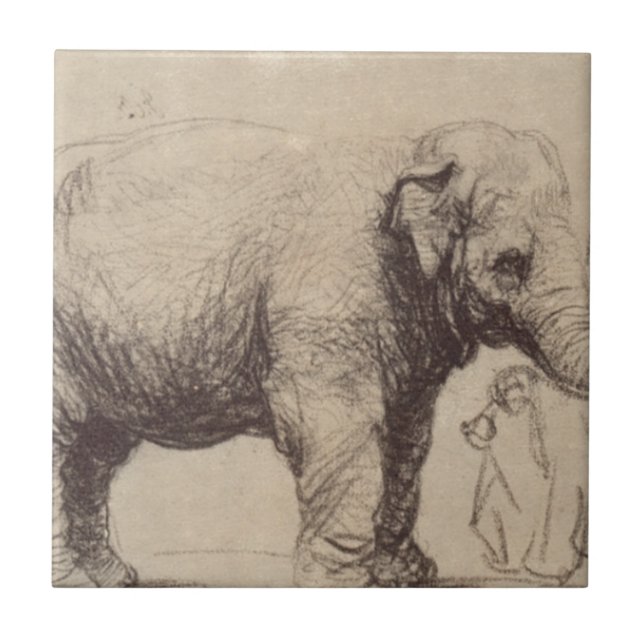 Um elefante por Rembrandt (Frente)