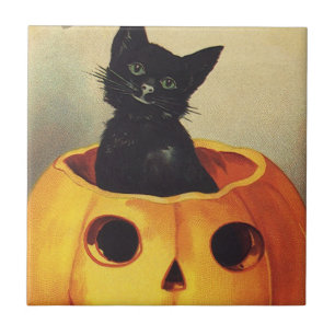 Um Feliz Halloween por Ellen Clapsaddle, Gato Anti