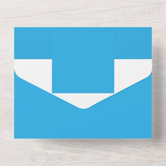 um fundo azul com um gato preto e branco (Back)