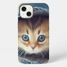 Um Gatinho chamado Moorka