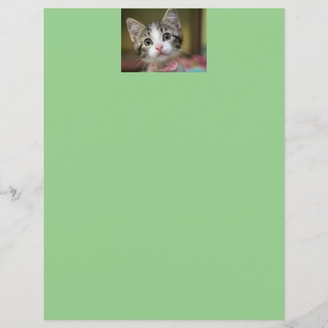 Um gatinho fofo com olhos verdes (Frente)