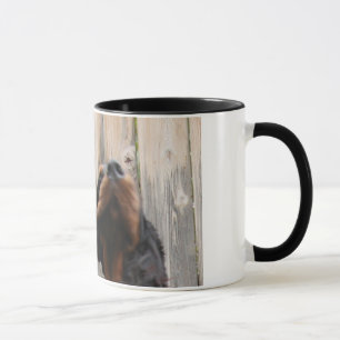 Um GORDON! Um GORDON!, Caneca Cerâmica Gordon Sett