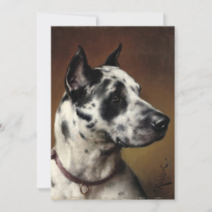 Um Grande Dane   Carl Reichert