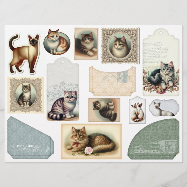 Um grande envelope mais gatos Bonito em quadros an (Frente)