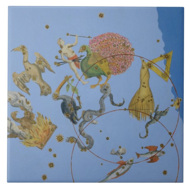 Um grupo de constelações de "Uranometria" por Jo (Frente)