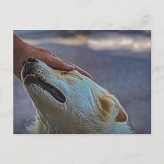 Um homem e seu cachorro, cartão postal (Frente)