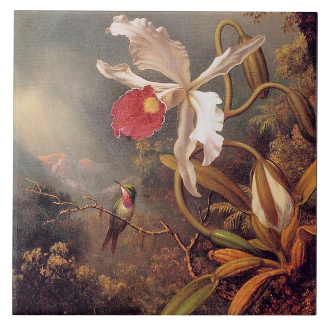 Um Hummingbird Ametista com Orquídea Branca (Frente)