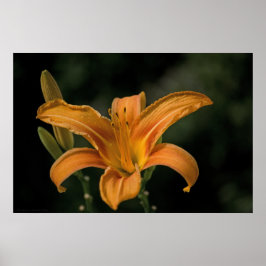 Um Impressão de Delícia de Jardim