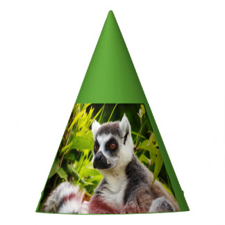 um lêmure de Madagascar de Chapéu de Festa
