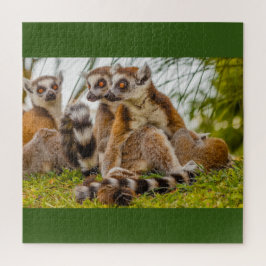 um lêmure macho abraça sua fêmea na quebra-cabeça