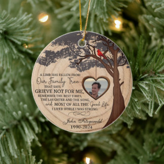 Um Limb Caiu Do Nosso Ornamento De Árvore Familiar