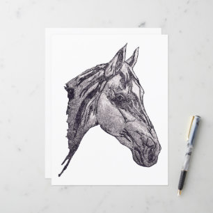 Um Livro de beleza equina