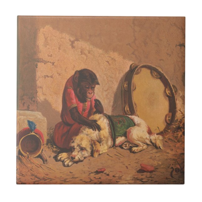 Um Macaco E Um Cachorro Com Um Grande Tambourino (Frente)