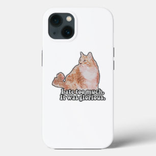Um meme engraçado de gato ranzinza para amantes de