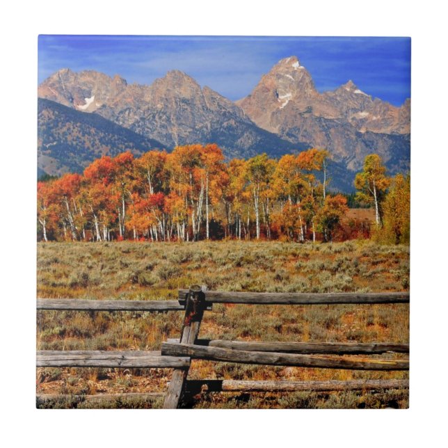 Um momento em Wyoming no outono (Frente)