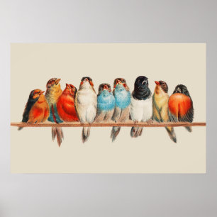 Um monte de aves Poster