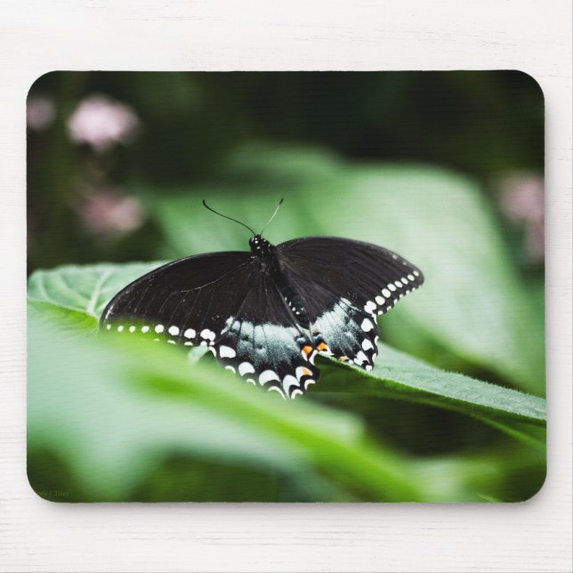 Um Mousepad de Aparência Estática (Frente)