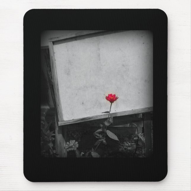 Um Mousepad de Flor Vermelho (Frente)