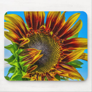 Um Mousepad de girassol