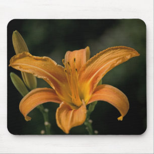Um Mousepad Delight do Jardim